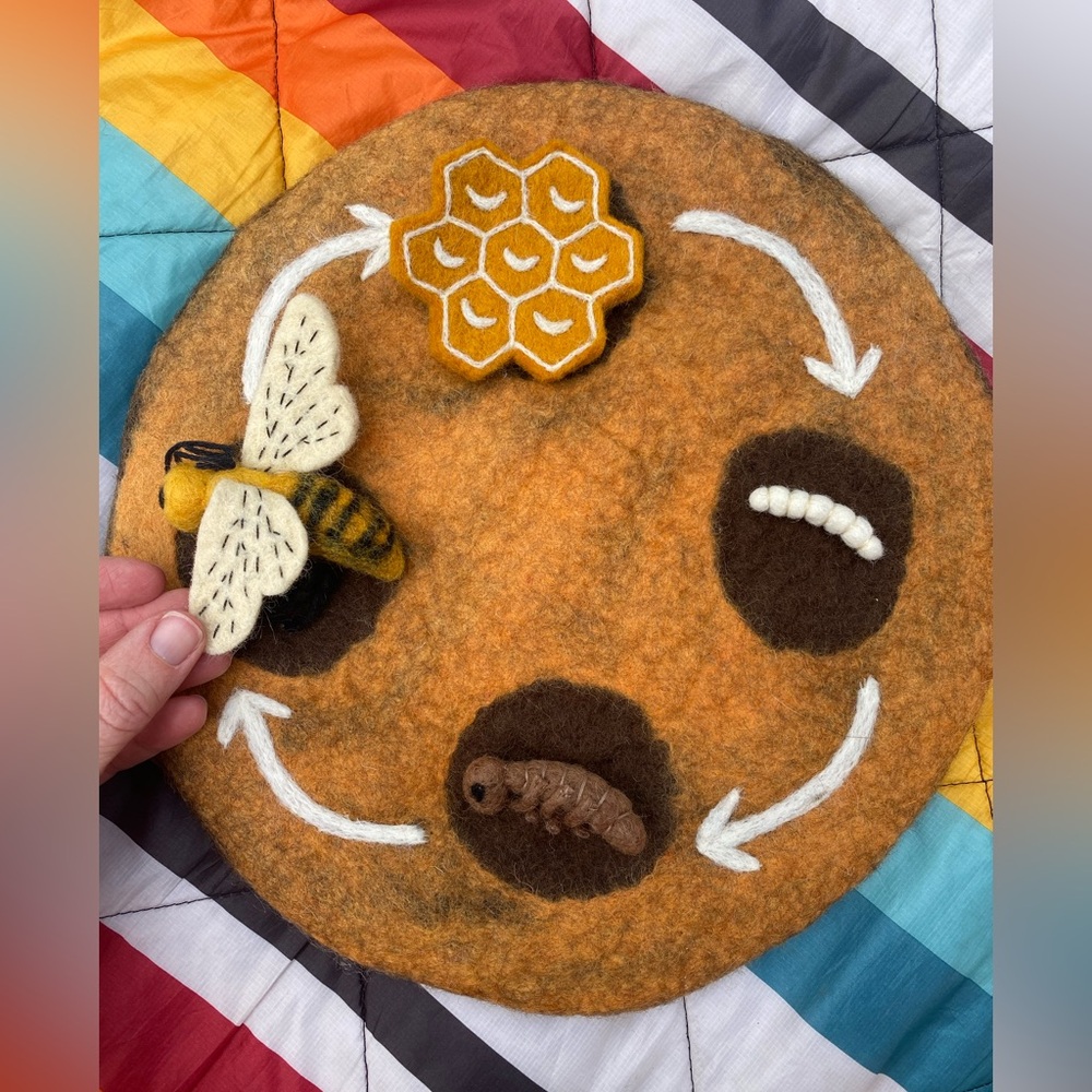 SOLD: Tara’s Treasures Felted Lifecycle of a Bee 🐝